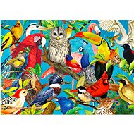 ENJOY Puzzle Feathered Madness 1000 pieces - Jigsaw Puzzle