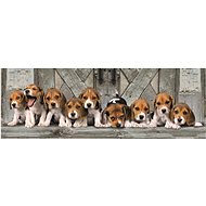 CLEMENTONI Panoramic Beagle 1000 pieces - Jigsaw Puzzle