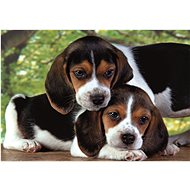 CLEMENTONI 500 pieces in total - Jigsaw Puzzle