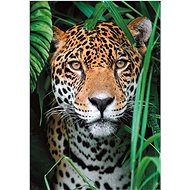 CLEMENTONI Jaguar in the jungle 500 pieces - Jigsaw Puzzle