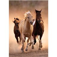 CLEMENTONI Running horses 1000 pieces - Jigsaw Puzzle