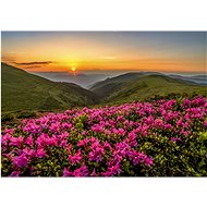 ENJOY Puzzle Pink Twilight 1000 pieces - Jigsaw Puzzle