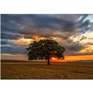 ENJOY Twilight Puzzle 1000 pieces - Jigsaw Puzzle