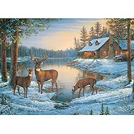 COBBLE HILL Puzzle Silent Place 1000 pieces - Jigsaw Puzzle