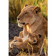 Clementoni Kitten Love 500 Pieces - Jigsaw Puzzle