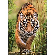 Clementoni The Hunting Trail 1000 Pieces - Jigsaw Puzzle