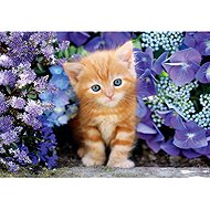 Clementoni Ginger Kitten 500 pieces - Jigsaw Puzzle