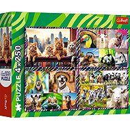 Trefl Funny animals 4 × 250 pieces - Jigsaw Puzzle