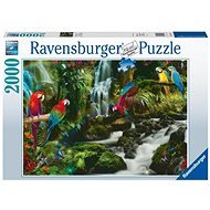 Ravensburger puzzle 171118 Farebný papagáj v džungli 2000 dielikov - Puzzle