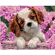 Diamondi - PUPPY AND HORTENSION, 40x50 cm, without frame and without canvas shut off - Diamond Painting