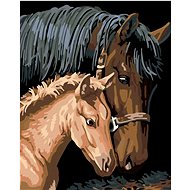Diamondi - BAKED COWBOY WITH A MUSHROOM, 40x50 cm, without frame and without canvas shut off - Diamond Painting