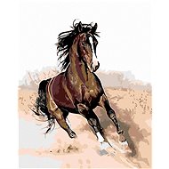 Diamondi - THE SINGER IN THE SAND, 40x50 cm, stretched canvas on frame - Diamond Painting