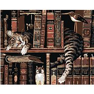 Diamondi - CAT IN A LIBRARY, 40x50 cm, without frame and without shutting off the canvas - Diamond Painting