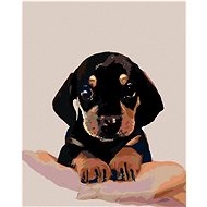 Diamondi - SHORT-HAIRED JEWISH PUPPY, 40x50 cm, off canvas on frame - Diamond Painting