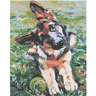 Diamondi - SHADOW OF A SHEEP, 40x50 cm, without frame and without canvas shut off - Diamond Painting