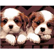 Diamondi - Diamond Painting - WHITE PUPPIES, 40x50 cm, without frame and without canvas shut off - Diamond Painting