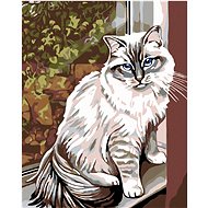 Diamondi - WHITE CAT IN THE WINDOW, 40x50 cm, without frame and without canvas shut off - Diamond Painting