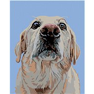 Diamondi - Diamond painting - LABRADOR - Diamond Painting