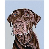 Diamondi - BROWN DOG WITH BROWN COLLAR, 40x50 cm, off canvas on frame - Diamond Painting