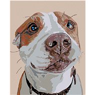 Diamondi - WAITING DOG, 40x50 cm, without frame and without canvas shut off - Diamond Painting
