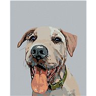 Diamondi - DOG WITH GREEN CIRCLE, 40x50 cm, off canvas on frame - Diamond Painting