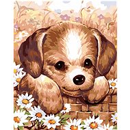 Diamondi - PUPPY, 40x50 cm, off canvas on frame - Diamond Painting