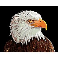 Diamondi - Diamond painting - WHITE EAGLE - Diamond Painting
