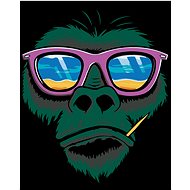 Diamondi - MONKEYS AND SUNGLASSES, 40x50 cm, without frame and without canvas shut off - Diamond Painting
