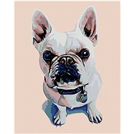 Diamondi - WHITE BULDOW WITH BLUE CIRCLE, 40x50 cm, without frame and without canvas shut off - Diamond Painting