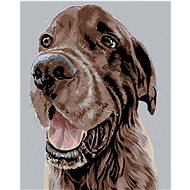 Diamondi - BEAUTIFUL BROWN SETTER, 40x50 cm, without frame and without canvas shut off - Diamond Painting