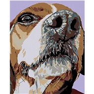 Diamondi - WHISTLE BEE, 40x50 cm, without frame and without canvas shut off - Diamond Painting