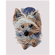 Diamondi - LITTLE JORKSHIRE, 40x50 cm, without frame and without shutting off the canvas - Diamond Painting