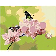 Diamondi - ORCHID WITH BUTTERFLIES, 40x50 cm, without frame and without shutting off the canvas - Diamond Painting