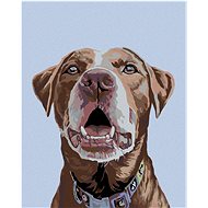 Diamondi - Diamond painting - Brown Labrador - Diamond Painting