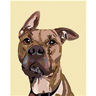 Diamondi - DOG WITH SCRAPPED EAR, 40x50 cm, stretched canvas on frame - Diamond Painting