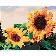 Diamondi - SUNSHINE I., 40x50 cm, stretched canvas on frame - Diamond Painting