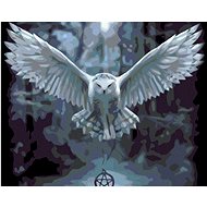 Diamondi - Diamond Painting - Owl with PENTAGRAM, 40x50 cm, Off canvas on frame - Diamond Painting