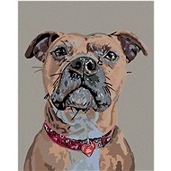 Diamondi - DOG AT ATTENTION AND HEART COLLAR, 40x50 cm, without frame and without canvas shut off - Diamond Painting