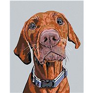 Diamondi - Diamond painting - RIDGEBACK WITH BLUE CIRCLE - Diamond Painting