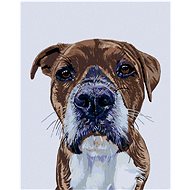 Diamondi - Diamond painting - DOG'S VIEW - Diamond Painting