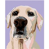 Diamondi - LABRADOR RETREAT, 40x50 cm, without frame and without canvas shut off - Diamond Painting