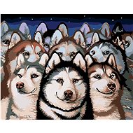 Diamondi - Diamond painting - DUMB HUSKIES - Diamond Painting