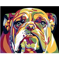 Diamondi - Diamond painting - BULDOG - Diamond Painting