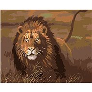 Diamondi - LION IN SAVANNAH, 40x50 cm, without frame and without canvas shut off - Diamond Painting