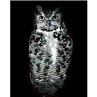 Diamondi - BLACK AND WHITE OWL, 40x50 cm, without frame and without shutting off the canvas - Diamond Painting