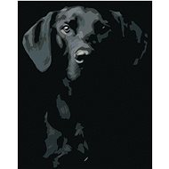Diamondi - BLACK AND WHITE DOG, 40x50 cm, without frame and without shutting off the canvas - Diamond Painting