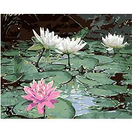 Diamondi - PINK LEMON AND THREE WHITE, 40x50 cm, without frame and without canvas shut off - Diamond Painting