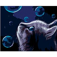 Diamondi - CAT AND BUBBLES AT NIGHT, 40x50 cm, stretched canvas on frame - Diamond Painting