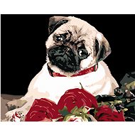 Diamondi - Diamond painting - MOPS - Diamond Painting