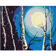 Diamondi - Birches, Moon and Falling Snow, 40x50 cm, without frame and without canvas shut off - Diamond Painting